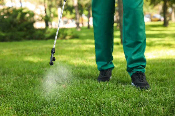 Best Cockroach Control Services  in Oak Grove Heights, AR