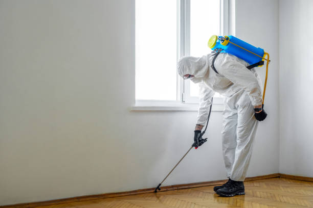Best Pest Removal Services  in Oak Grove Heights, AR