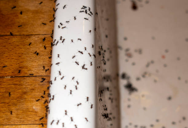 Best Wildlife Control Services  in Oak Grove Heights, AR
