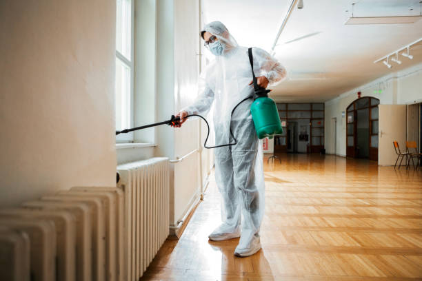 Best Wasp Removal Services  in Oak Grove Heights, AR