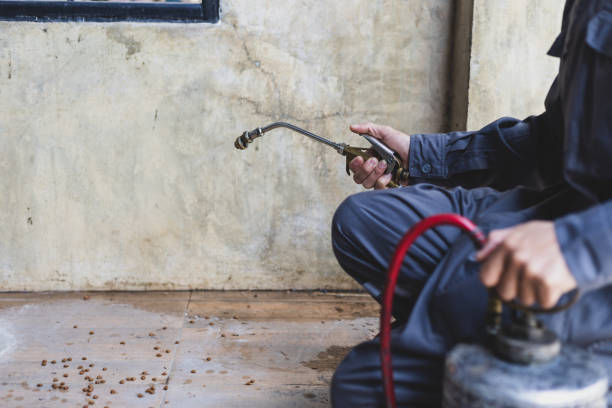 Best Affordable Pest Control Services  in Oak Grove Heights, AR